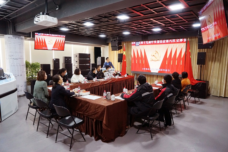 ZOBO草莓视频APP下载污党支部丨开展“学习贯彻党的十九届六中全会精神”主题党日活动