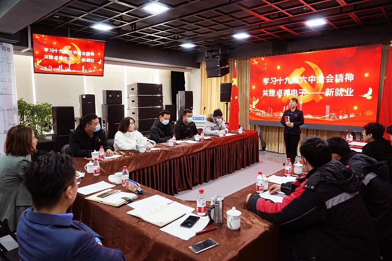 ZOBO草莓视频APP下载污党支部丨开展“学习贯彻党的十九届六中全会精神”主题党日活动