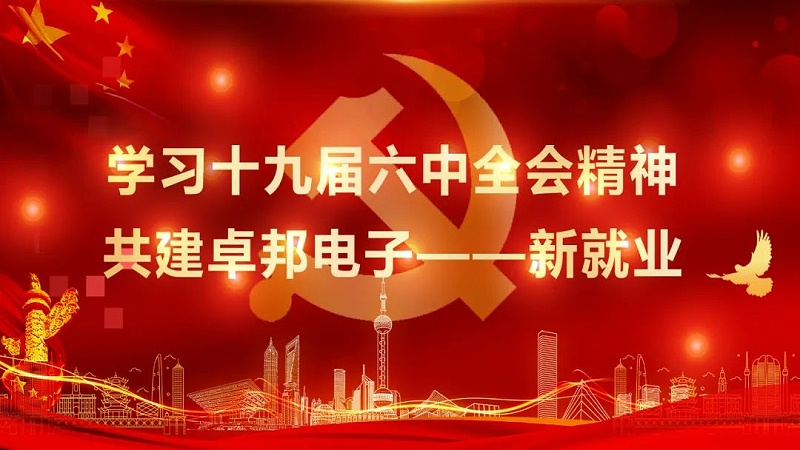 ZOBO草莓视频APP下载污党支部丨开展“学习贯彻党的十九届六中全会精神”主题党日活动