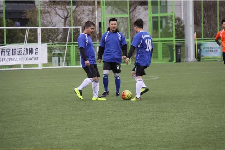 ZOBO草莓视频APP下载污