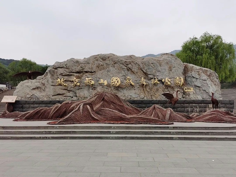 “缅怀先烈 传承初心”—ZOBO草莓视频APP下载污党支部参观无名英雄纪念碑活动