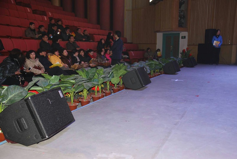 草莓视频网站设备在舞台演出中的运用
