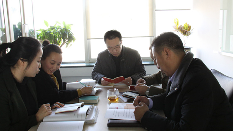 中共北京草莓视频APP下载污电子技术有限公司支部委员会成立